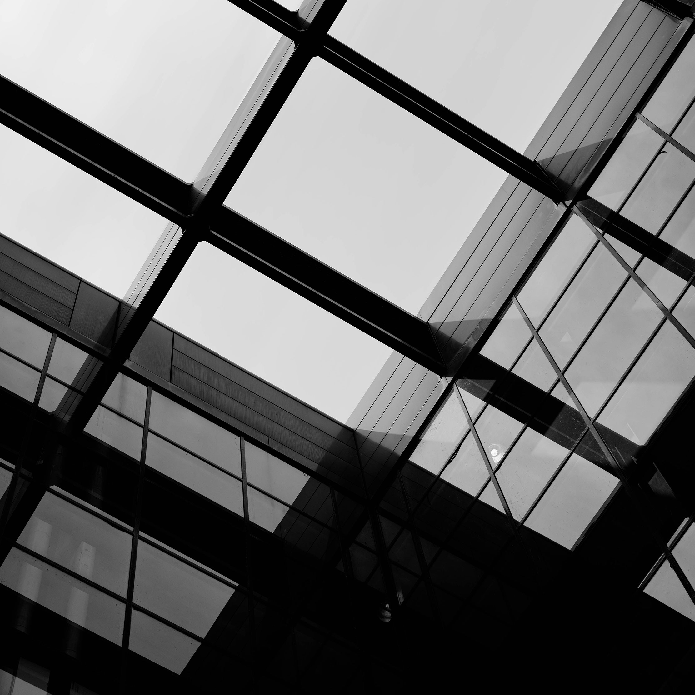 black and white building glass